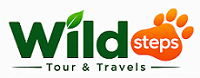 wildsteps logo